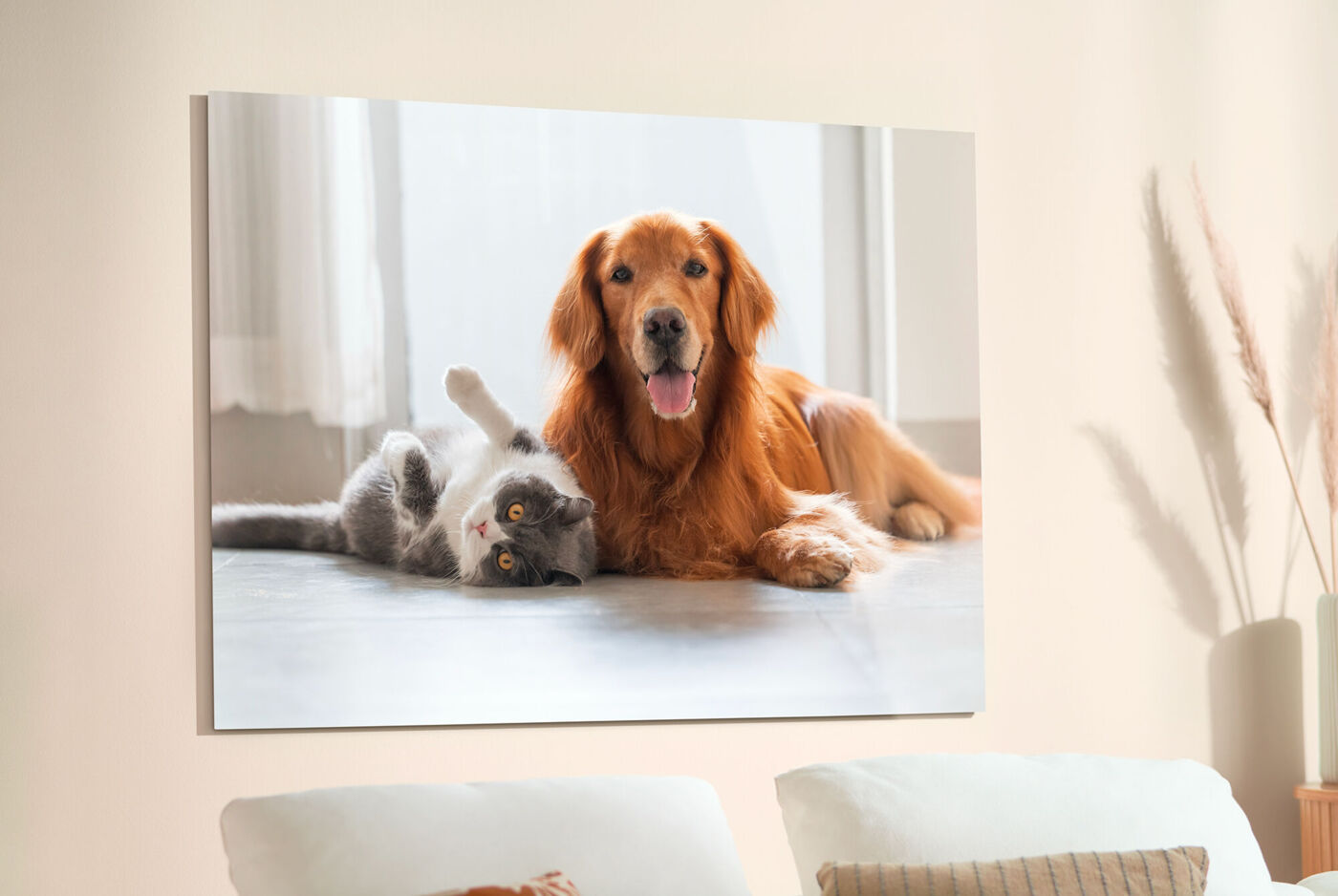 Póster de un perro golden retriever junto a un gato, jugando